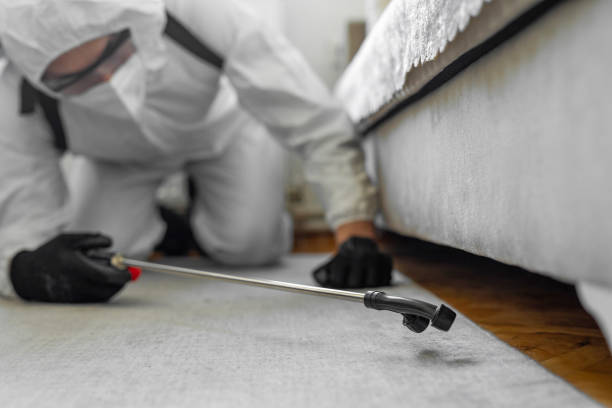 Professional Termite Control technician working in Wellsboro, PA